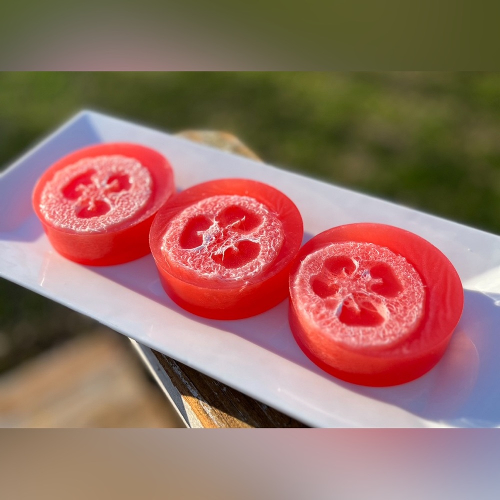 Loofah Soap Bar - Black Raspberry Vanilla Handmade